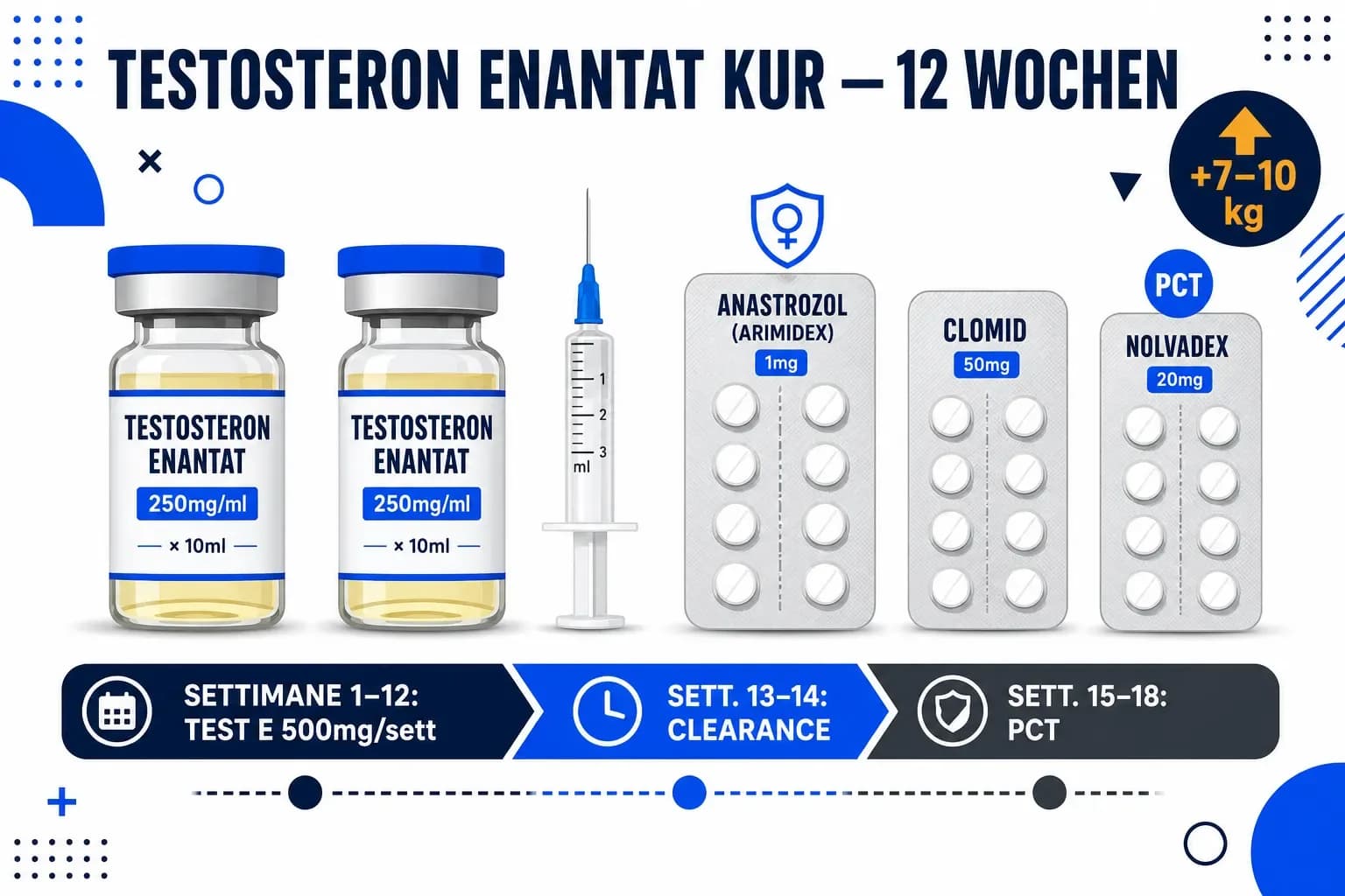 Testosteron Enantat Kur für Muskelaufbau (12 Wochen)