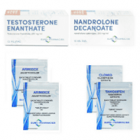 Testosteron enantat / Deca Durabolin Steroid-Kura (8 Wochen)