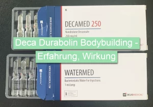 Deca Durabolin Bodybuilding - Erfahrung, Wirkung