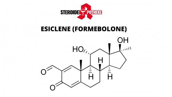 Esiclene (Formebolone) Bodybuilding SteroideApotheke