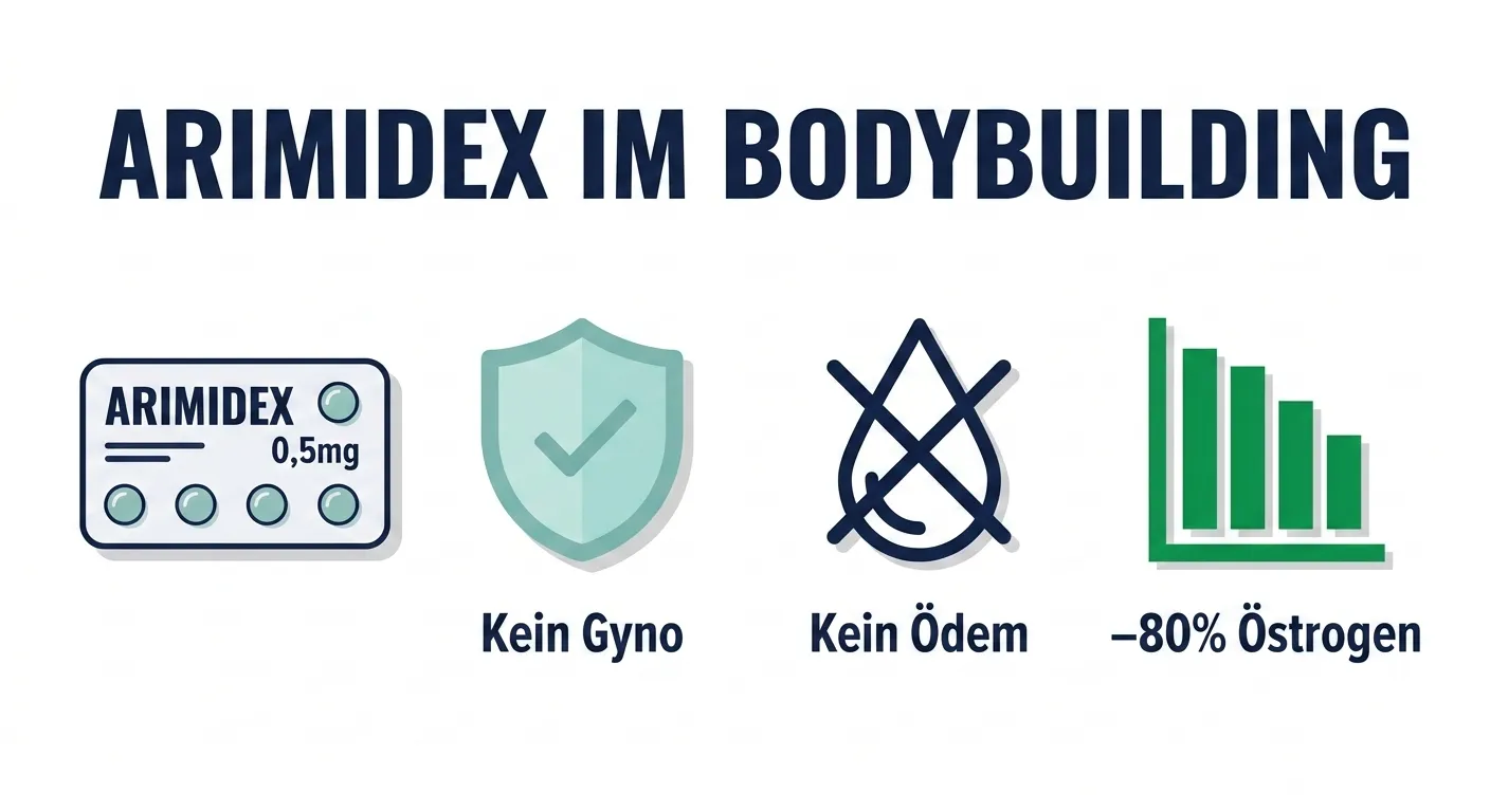 rimidex im Bodybuilding – Anastrozol zur Östrogenkontrolle, Gynäkomastie-Prävention und Wasserreduktion beim Steroidzyklus