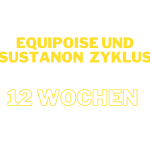 Equipoise und Sustanon Zyklus für Masse
