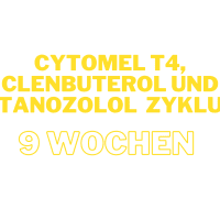 Fettverbrennung Zyklus mit Cytomel T4, Clenbuterol und Stanozolol