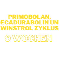 Femine Primobolan, Decadurabolin und Winstrol Zyklus