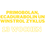 Femininer Zyklus mit Primobolan, Decadurabolin und Winstrol