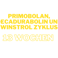 Femininer Zyklus mit Primobolan, Decadurabolin und Winstrol