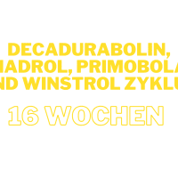 Mini-Zyklus mit Decadurabolin, Anadrol, Primobolan und Winstrol für 6 Wochen