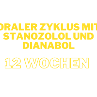 Oral Zyklus mit Stanozolol und Dianabol