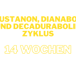 Blitz-Zyklus mit Sustanon, Dianabol und Decadurabolin für 12 Wochen