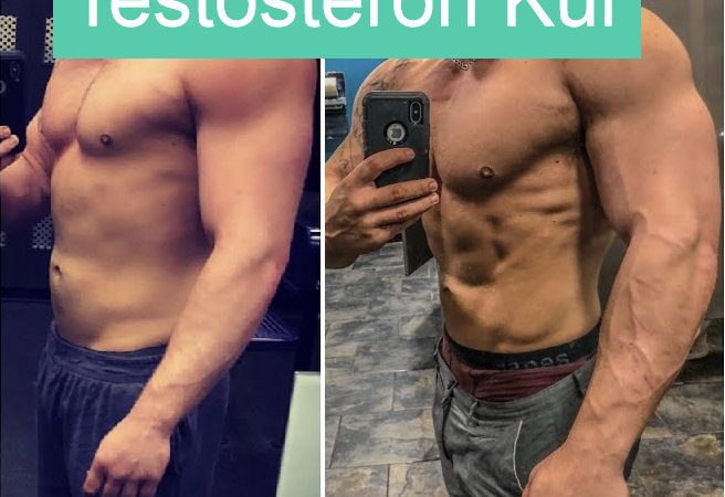 testosteron kur plan , testosteron enantat, cypionat, propionat kur