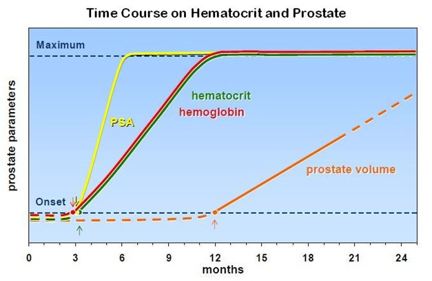 Zeitverlauf von Hämatokrit und Prostata