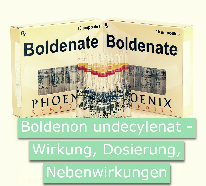 Boldenon undecylenat, dosierung, wirkung, Nebenwirkungen