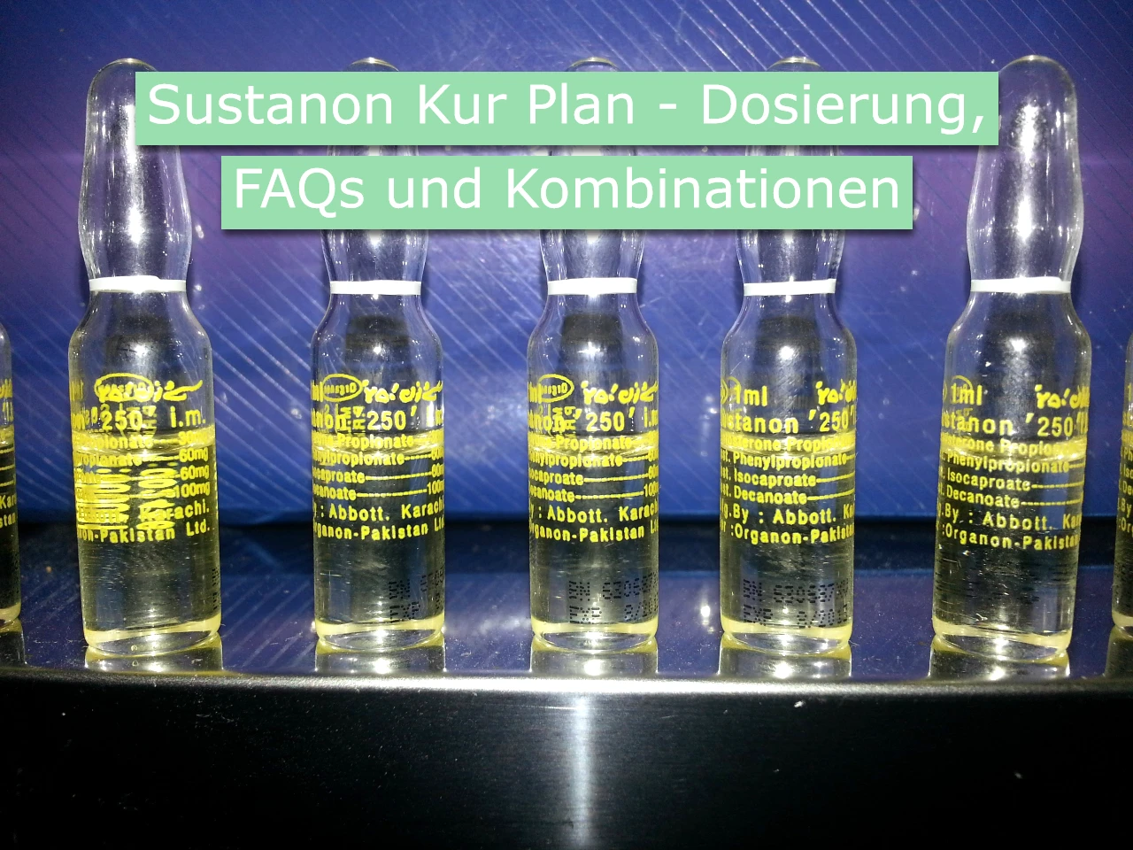 Sustanon Kur Plan - Dosierung, FAQs und Kombinationen