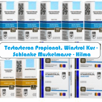 Testosteron Propionat, Winstrol Kur – Schlanke Muskelmasse – Hilma