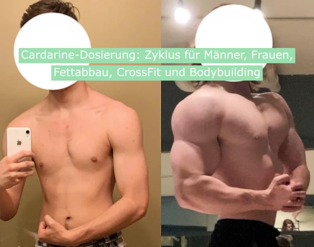 Cardarine-Dosierung - Zyklus für Männer, Frauen, Fettabbau, CrossFit und Bodybuilding