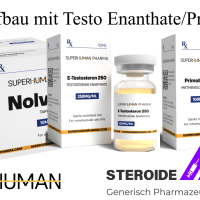 Kur mit Testosteron Enanthate/Primobolan