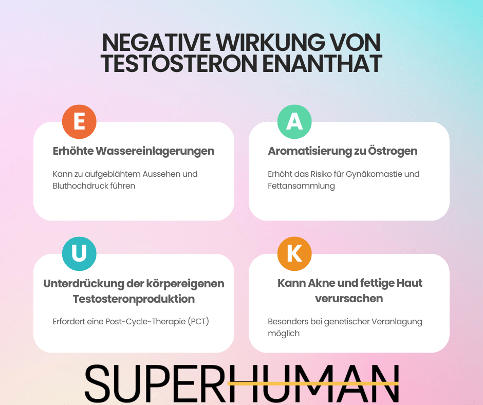  Infografik zu den Nebenwirkungen von Testosteron Enanthat