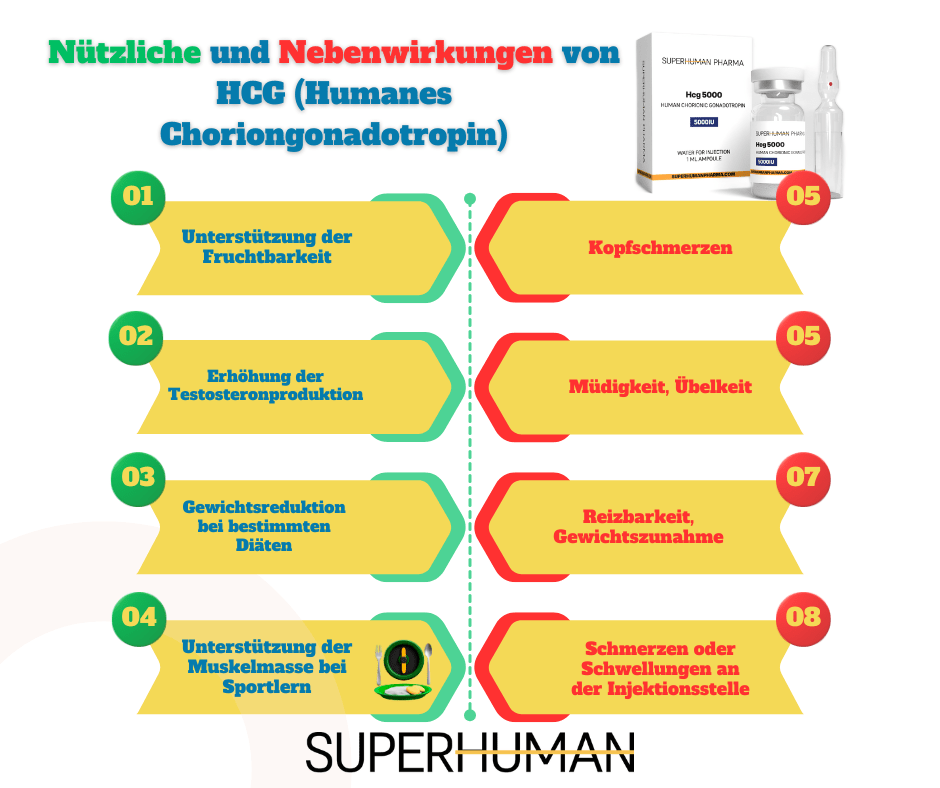  Infografik über die Vorteile und Nebenwirkungen von HCG (humanes Choriongonadotropin)