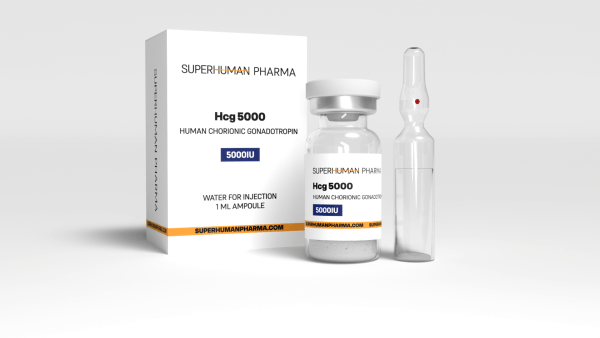 HCG 5000 1 ml von SuperHuman Pharma, ein hormonelles Präparat zur Unterstützung der Fruchtbarkeit und Hormonregulation