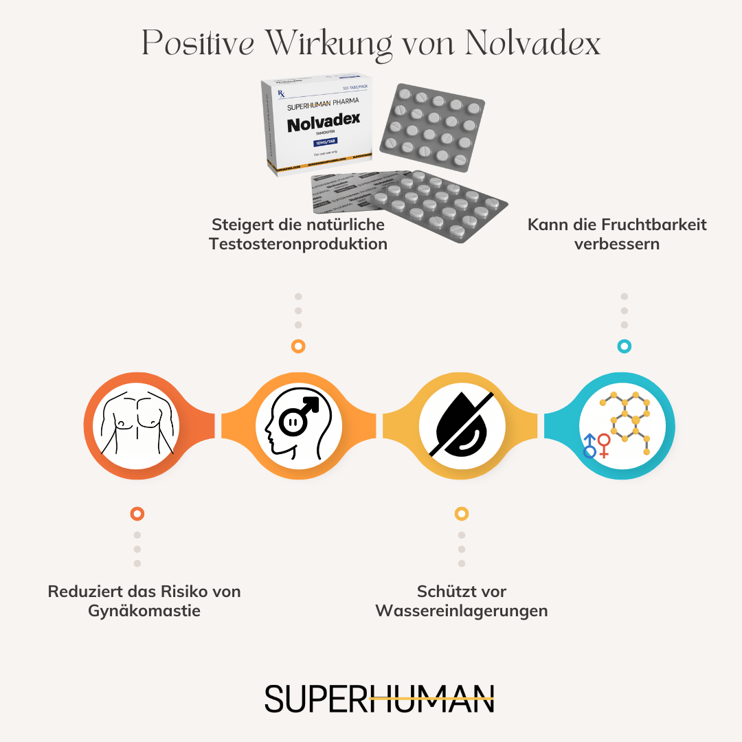 Infografik über die Wirkung von Nolvadex