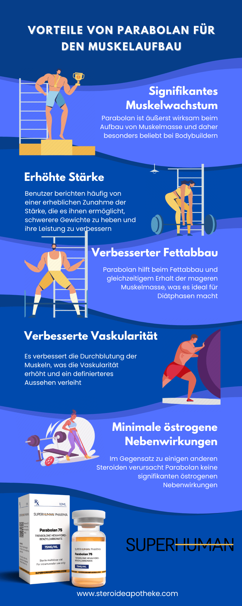 Infografik über die Wirkung von Parabolan