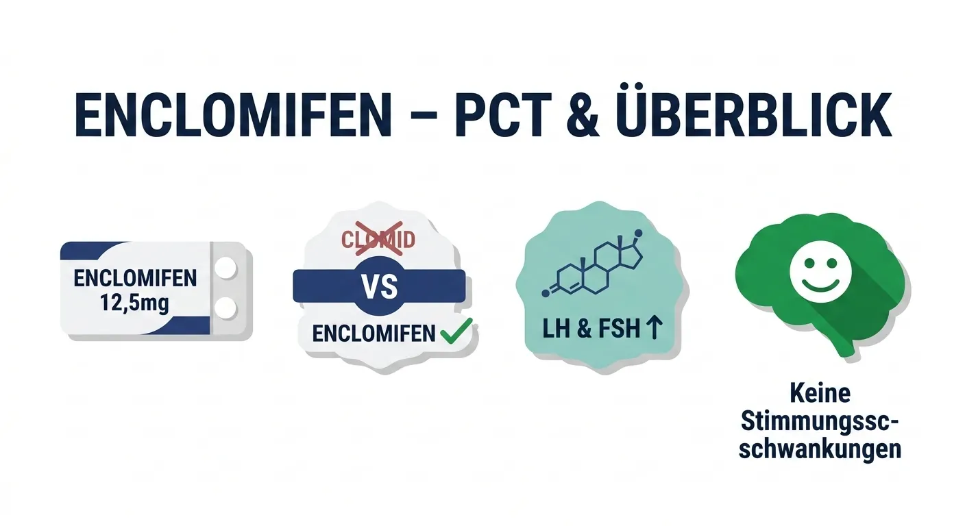 Enclomifen für PCT – Überblick, Vergleich mit Clomid, LH & FSH Stimulation und weniger Nebenwirkungen