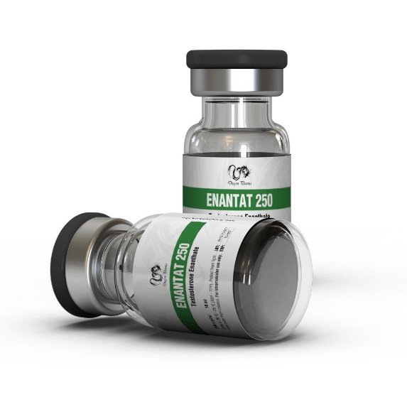 Beste Testosteron enanthate Marken (ohne Rezept) 3 Testosterone Enanthate Dragon Pharma