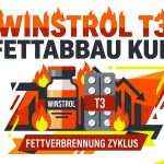 Winstrol + T3 Fettabbau Kur