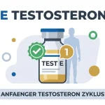 Erste Testosteron Kur (Anfänger)