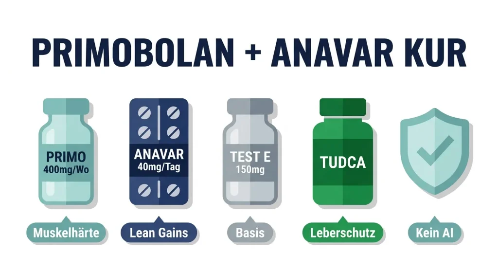 Primobolan und Anavar Muskelaufbau-Kur – der Gentleman's Cycle mit 400mg Primo, 40mg Anavar und 150mg Test E über 10 Wochen ohne Aromatasehemmer
