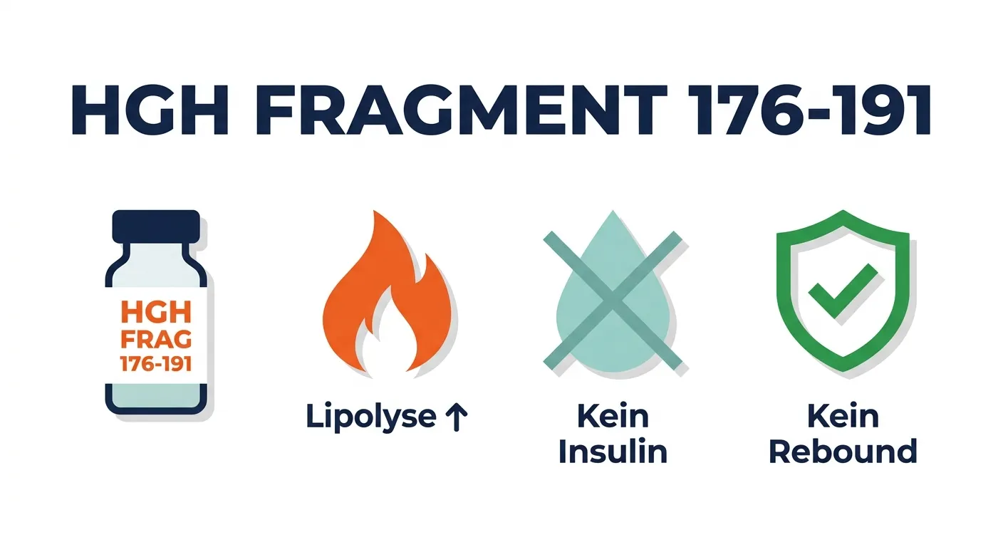 HGH Fragment 176-191 – fettverbrennendes Peptid für gezielte Lipolyse ohne Insulinresistenz und ohne Rebound-Effekt