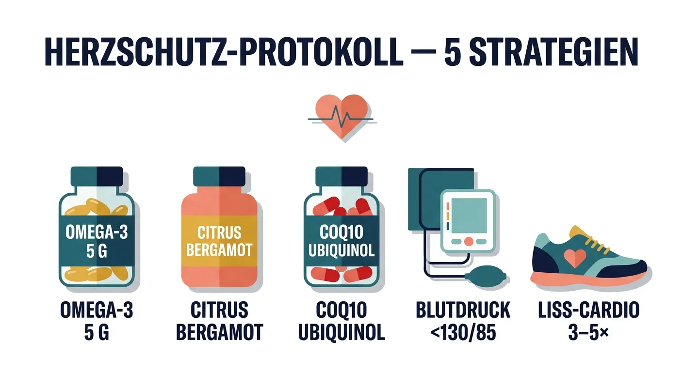 Flat-Vector-Infografik zeigt fünf Herzschutz-Strategien für die Steroidkur: Omega-3, Citrus Bergamot, CoQ10, Blutdruckkontrolle und LISS-Cardio mit stilisiertem Herz und EKG-Linie.