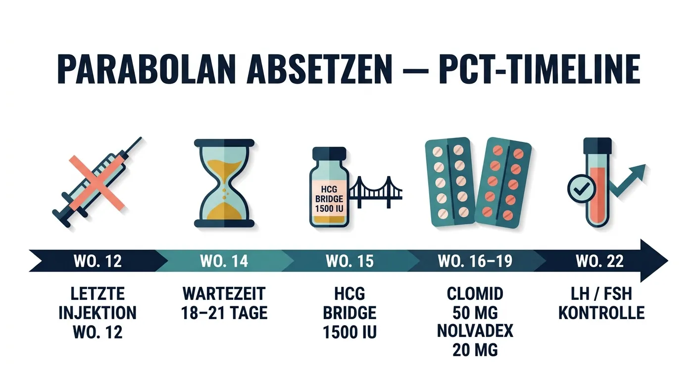 Flat-Vector-Infografik zeigt die PCT-Timeline nach einer Parabolan-Kur: letzte Injektion, 18–21 Tage Wartezeit, HCG-Bridge, Clomid + Nolvadex und Blutwertekontrolle auf LH/FSH mit Wochenmarkierungen.