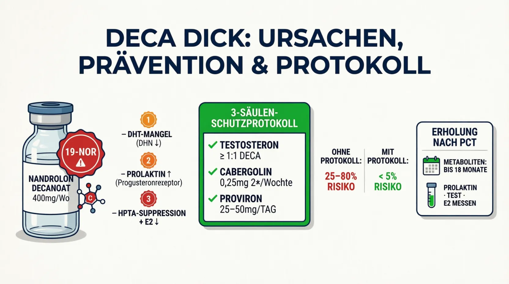 Flat Vector Infografik zu Deca Dick (Nandrolon-induzierte erektile Dysfunktion): Warnbadge am Deca-Durabolin-Vial mit fehlendem C19-Kohlenstoff, drei Ursachen (DHT-Mangel durch DHN-Reduktion, Prolaktinerhöhung durch Progesteronrezeptor-Aktivität, HPTA-Suppression mit niedrigem Östradiol), 3-Säulen-Schutzprotokoll (Testosteron mindestens 1:1 zu Deca, Cabergolin 0,25mg zweimal wöchentlich, Proviron 25–50mg täglich), Risikosenkung von 25–80% auf unter 5% und Erholungs-Timeline mit Nandrolon-Metaboliten bis zu 18 Monate nachweisbar