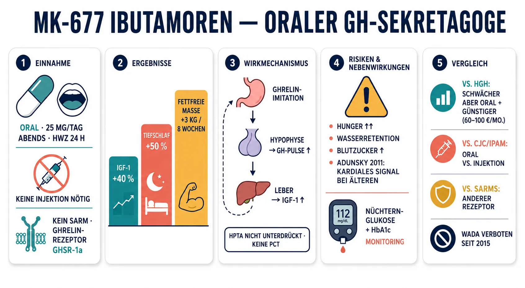 Infografik im flachen Vektorstil, die fünf Aspekte von MK-677 Ibutamoren zeigt: orale Einnahme 25 mg/Tag ohne Injektion, drei Wirkungsmetriken IGF-1/Schlaf/Lean Mass, Ghrelin-Rezeptor-Mechanismus ohne HPTA-Unterdrückung, Nebenwirkungen mit kardialem Signal und Vergleich mit HGH, CJC/Ipamorelin und SARMs.