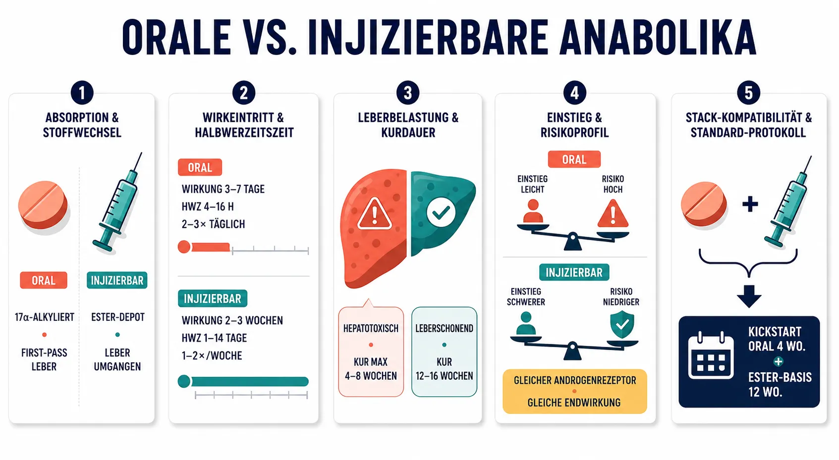 Infografik im flachen Vektorstil, die fünf Vergleichspunkte zwischen oralen und injizierbaren Anabolika zeigt: First-Pass-Metabolismus vs. Ester-Depot, Wirkungs- und Halbwertszeiten, Lebertoxizität und maximale Kurdauer, Anfängertauglichkeit bei gleicher Endwirkung am Androgenrezeptor und Kickstart-Stack-Kompatibilität.